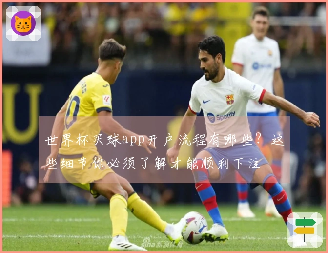 世界杯买球app开户流程有哪些？这些细节你必须了解才能顺利下注