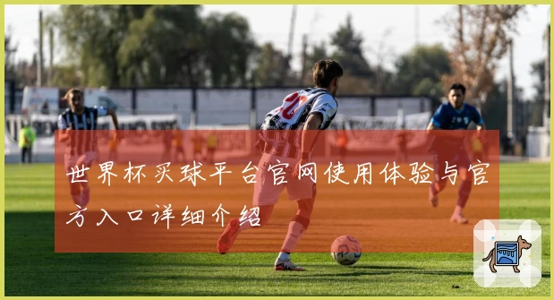 世界杯买球平台官网使用体验与官方入口详细介绍