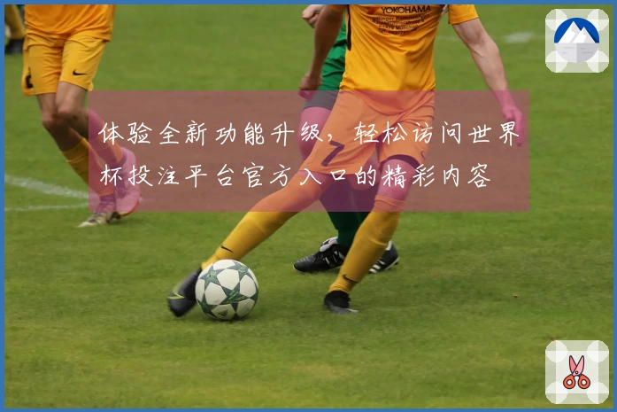 体验全新功能升级，轻松访问世界杯投注平台官方入口的精彩内容