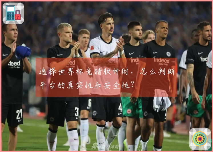 选择世界杯竞猜软件时，怎么判断平台的真实性和安全性？