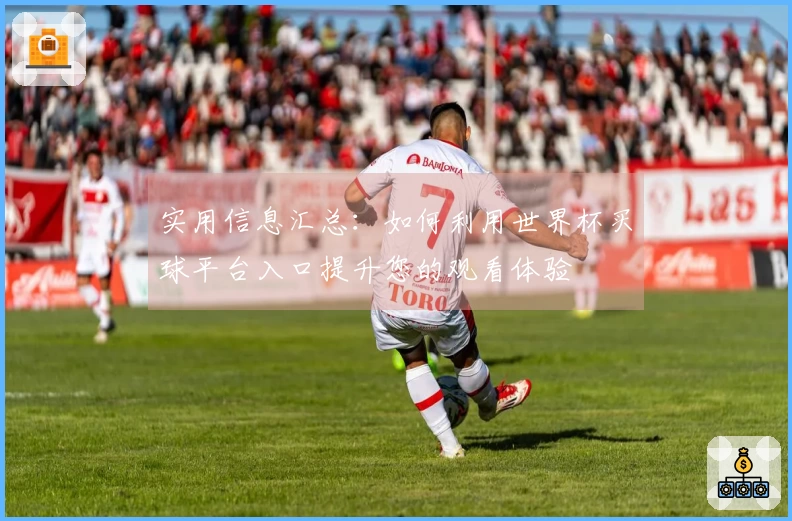 实用信息汇总：如何利用世界杯买球平台入口提升您的观看体验