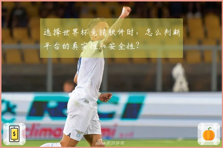 选择世界杯竞猜软件时，怎么判断平台的真实性和安全性？