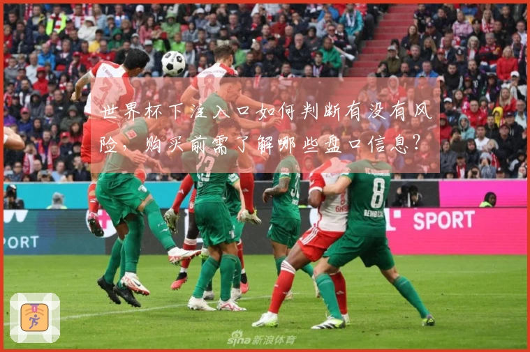 世界杯下注入口如何判断有没有风险，购买前需了解哪些盘口信息？