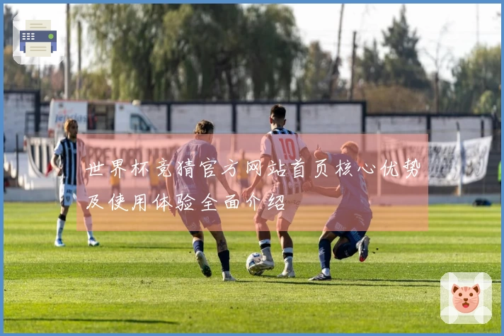 世界杯竞猜官方网站首页核心优势及使用体验全面介绍