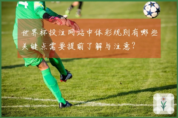 世界杯投注网站中体彩规则有哪些关键点需要提前了解与注意？