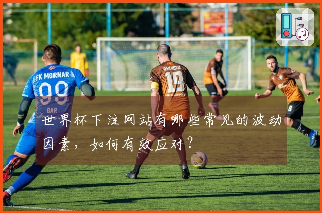 世界杯下注网站有哪些常见的波动因素，如何有效应对？