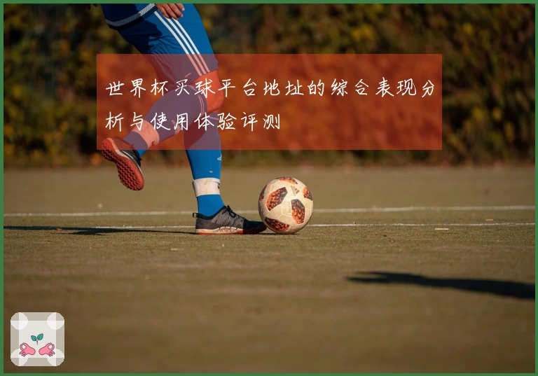 世界杯买球平台地址的综合表现分析与使用体验评测