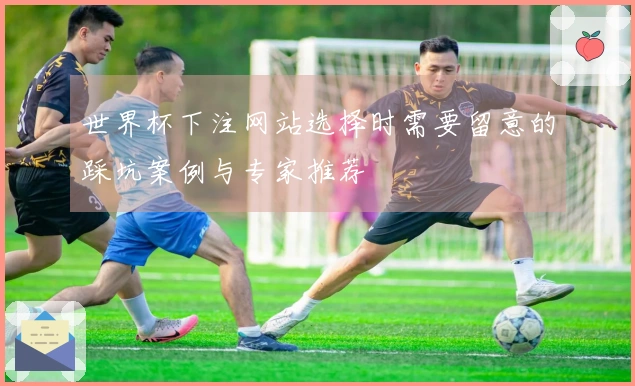 世界杯下注网站选择时需要留意的踩坑案例与专家推荐