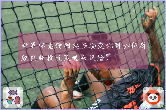 世界杯竞猜网站临场变化时如何有效判断投注策略和风险？