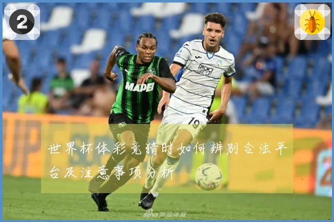 世界杯体彩竞猜时如何辨别合法平台及注意事项分析