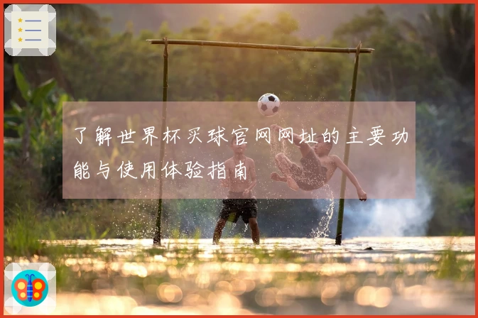 了解世界杯买球官网网址的主要功能与使用体验指南