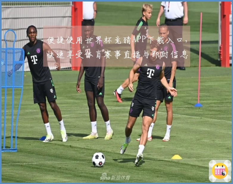 便捷使用世界杯竞猜APP下载入口，快速享受体育赛事直播与即时信息