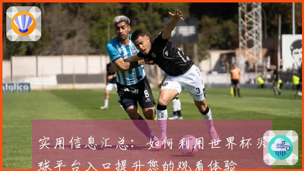 实用信息汇总：如何利用世界杯买球平台入口提升您的观看体验