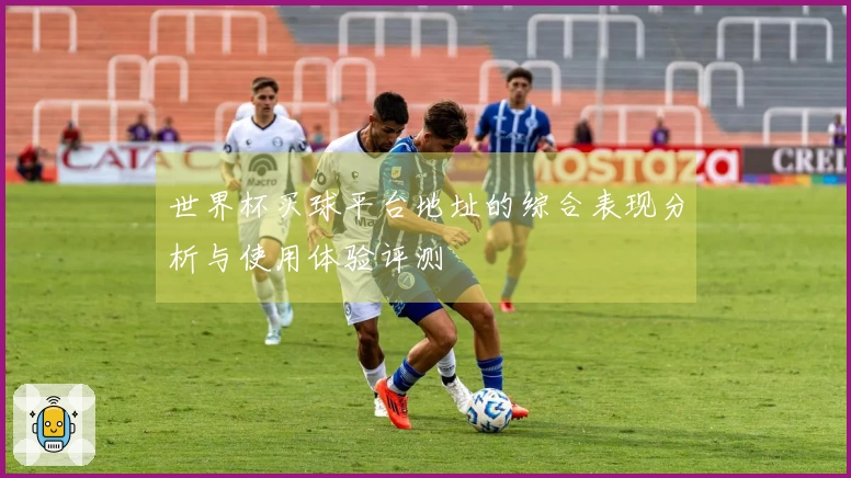 世界杯买球平台地址的综合表现分析与使用体验评测