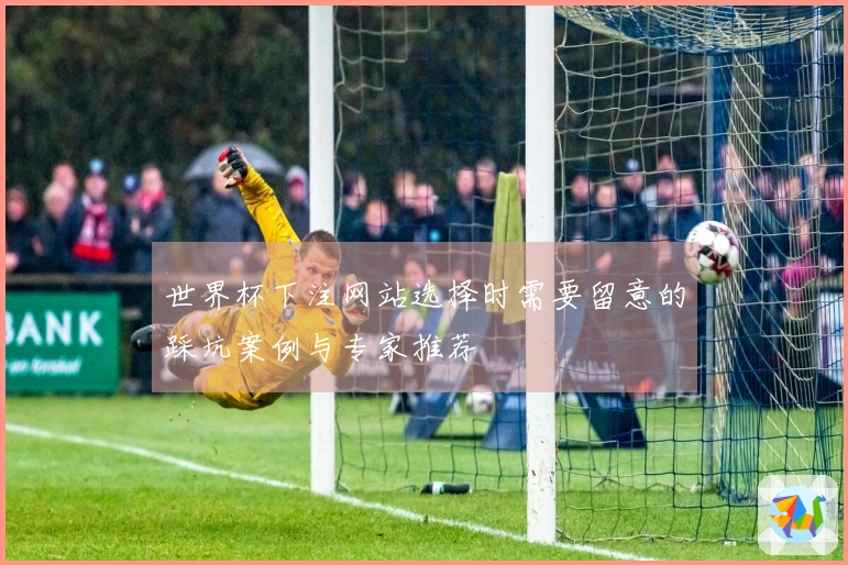 世界杯下注网站选择时需要留意的踩坑案例与专家推荐
