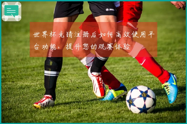 世界杯竞猜注册后如何高效使用平台功能，提升您的观赛体验