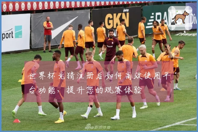 世界杯竞猜注册后如何高效使用平台功能，提升您的观赛体验
