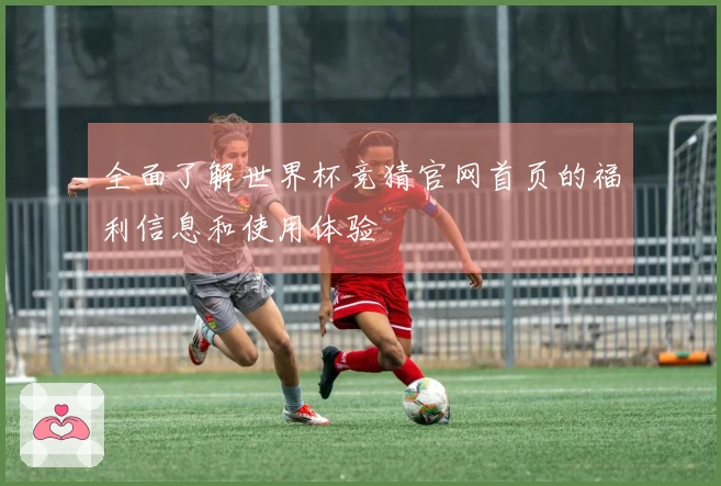 全面了解世界杯竞猜官网首页的福利信息和使用体验