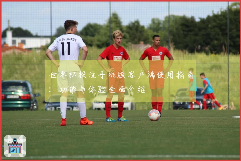 世界杯投注手机版客户端使用指南：功能与体验全面介绍