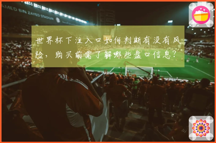 世界杯下注入口如何判断有没有风险，购买前需了解哪些盘口信息？