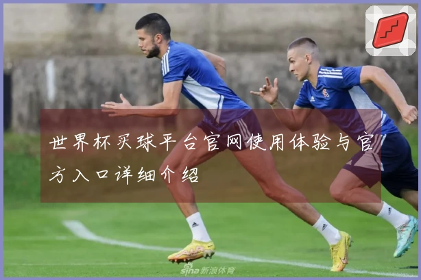 世界杯买球平台官网使用体验与官方入口详细介绍